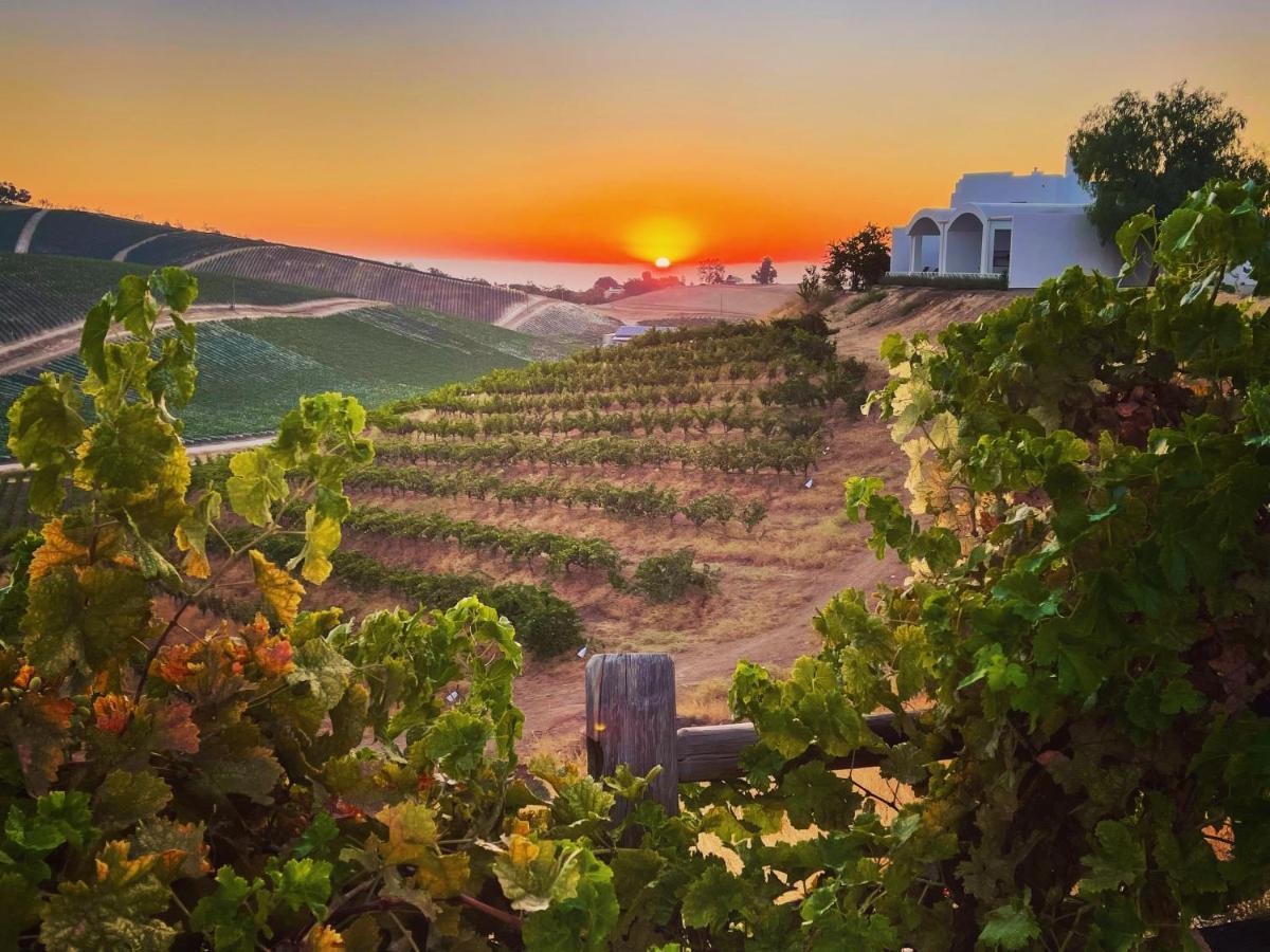 Sirena Vineyard Resort Пасо-Роблес Екстер'єр фото